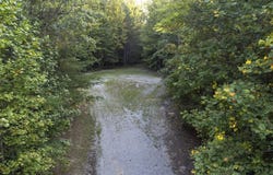 Calico Lane, Crawford, TN 38554