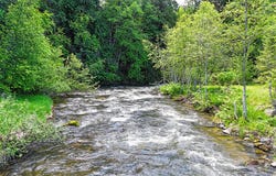 3185 ALADDIN RD, COLVILLE, WA 99114