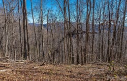 Walnut Creek Road, Marshall, NC 28753