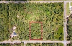 SAFFRON AVENUE, EUSTIS, FL 32736