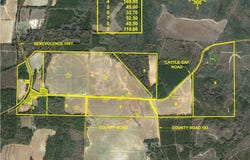 0 Cattle Gap Road, Cuthbert, GA 39840