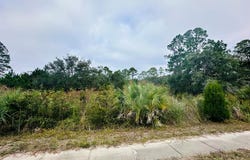 711 Ryan Dr, Carrabelle, FL 32322
