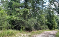 8.73 Acres WONIE COUSIN Road, Lacombe, LA 70445