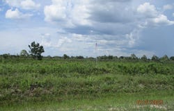 17771 NW 302ND STREET, OKEECHOBEE, FL 34972