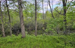 Cedar and 12th Street, Evart, MI 49631