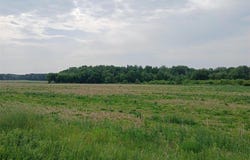 Lot 3 Witte Road, Augusta, WI 54722