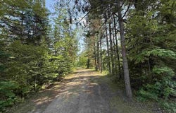 17801 County Road 433, Swan River, MN 55784