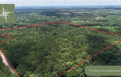 1425 Booger Hollow Road, Dadeville, AL 36853