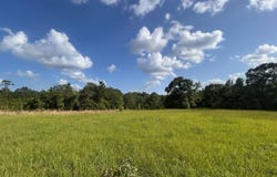 lot 184 & 185 HUNTERS CREEK, Hillister, TX 77624