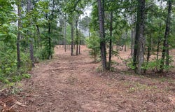 Harkins Ln., Marshall, TX 75672