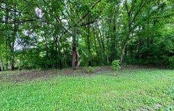 0 Watermelon Hill Road, Louisa, KY 41230