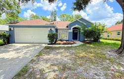 28818 MIDNIGHT STAR LOOP, WESLEY CHAPEL, FL 33543