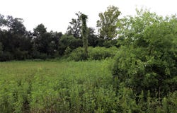 2.8 ac Hwy 90, Devers, TX 77575