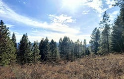 NKA Odessa Lp, St. Maries, ID 83861