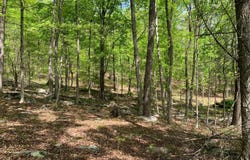 WOODMONT ROAD, GREAT CACAPON, WV 25422