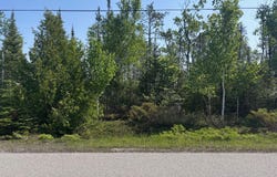 Bay Shore Drive lot: 306, Presque Isle, MI 49777