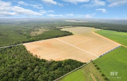 1 Old Stage Road, Repton, AL 36475