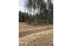 Lot 19 Honey Grove, Livingston, LA 70754