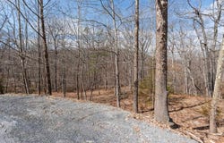 BEN LYONS LN, LYNDHURST, VA 22952