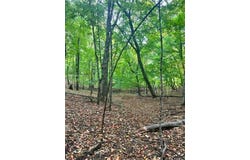 E Lake Lizzie Rd, Lida Twp, MN 56572