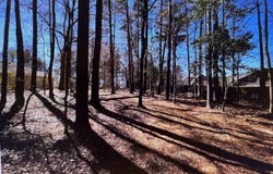 Osprey Lane, Martinez, GA 30907