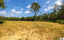 State Route 1433, Salem, KY 42078