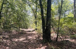 0 Moores Chapel Road, Mauk, GA 31058