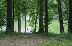 3310 Monans Rill Cove, Hernando, MS 38632