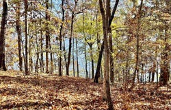 0 RANCH MARINA ROAD, PELL CITY, AL 35128