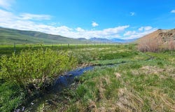Lot 10 Dry Fork Road, Moore, ID 83255