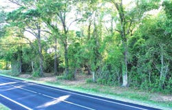 Highway 87, Jay, FL 32565
