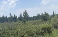 TBD S PEARY DRIVE, Eveleth, MN 55746-0000