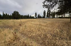 24703 5th Street, Sprague River, OR 97639