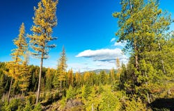 Nhn McGinnis Meadows - Bayhorse Road Section 5, Libby, MT 59923