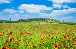 5248 Lower Crabapple Rd, Fredericksburg, TX 78624