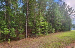 321 Clearview Drive W, Monticello, GA 31064