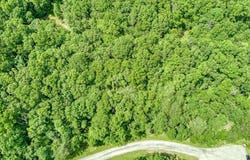 1.07 AC Hemlock Lane, Spencer, TN 38585