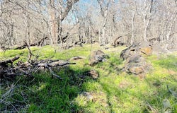 5912 Tenney Creek Road, Luling, TX 78648