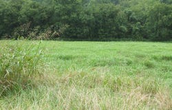 Hueysville, KY 41640