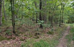 Dug Road, Elmira, NY 14901