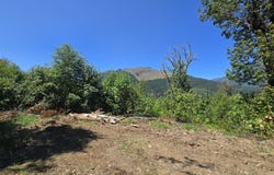 0 HIGHLAND VALLEY RD, Morton, WA 98356