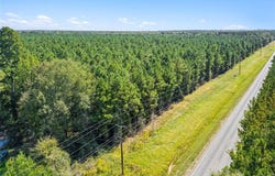 157 Highway 157, Princeton, LA 71067
