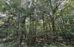 0 Mill Creek Rd, Warrior, AL 35180