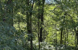 Tollander Rd, Siren, WI 54872
