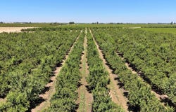S Willow Avenue, Fresno, CA 93725