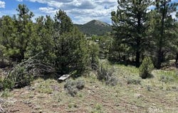 TR42 CR 329, Westcliffe, CO 81252