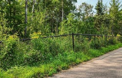 TBD4 Winter Creek Court, Fairview Township, MN 56468