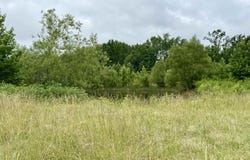 Danville, AR 72833