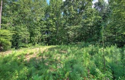 573 Dallas Highway SE, Cartersville, GA 30120