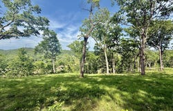 Tract 4 Circle B Road, Eminence, MO 65466